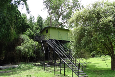 Masinagudi Tree House